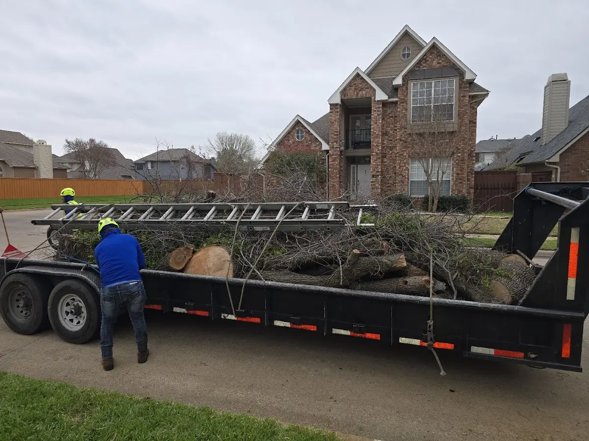 Expert Tree Fertilization with proper safety equipment in Slocomb